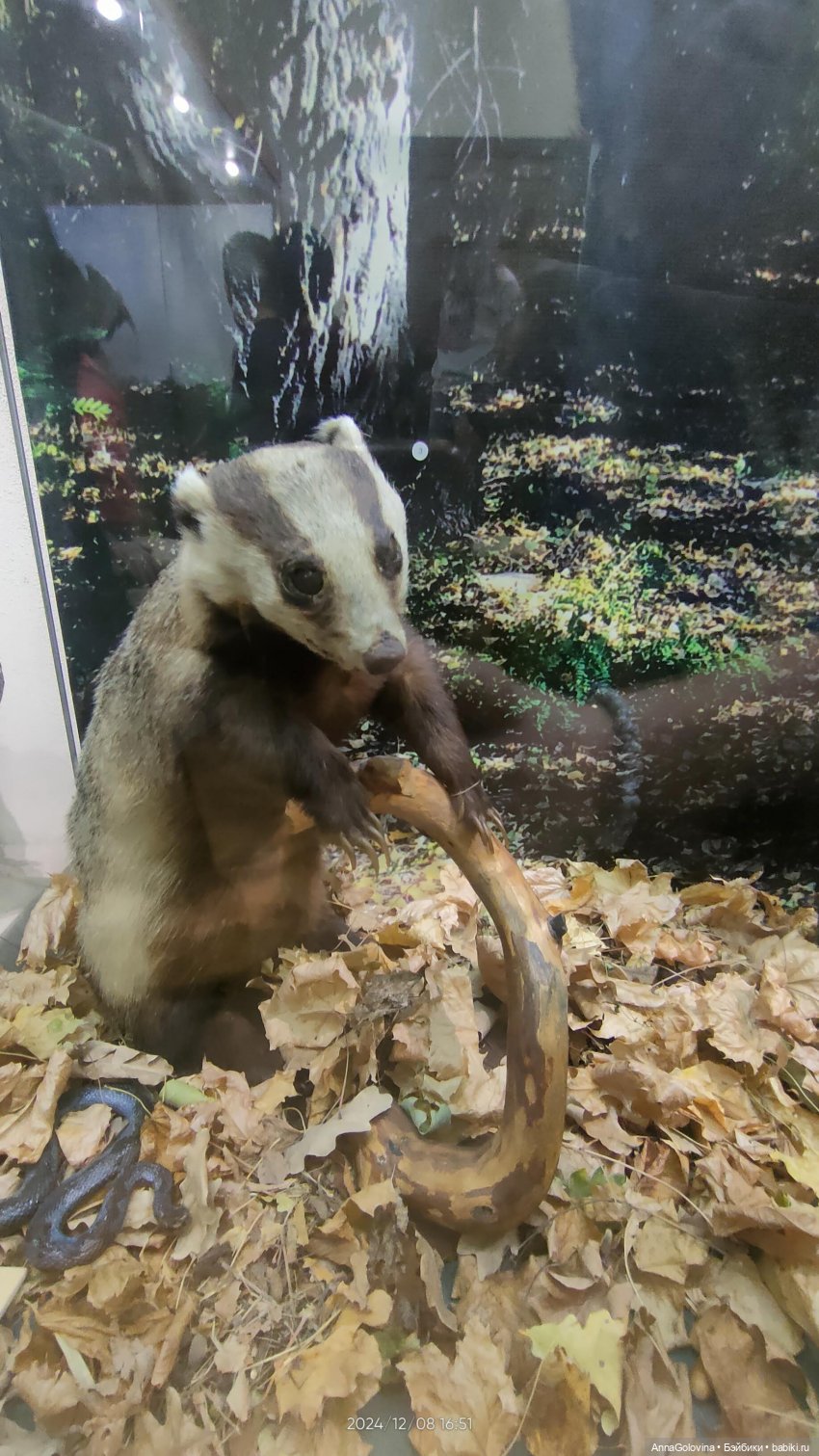 Как мы ходили в музей. Саратов. ЧАСТЬ 5 (фото 9)