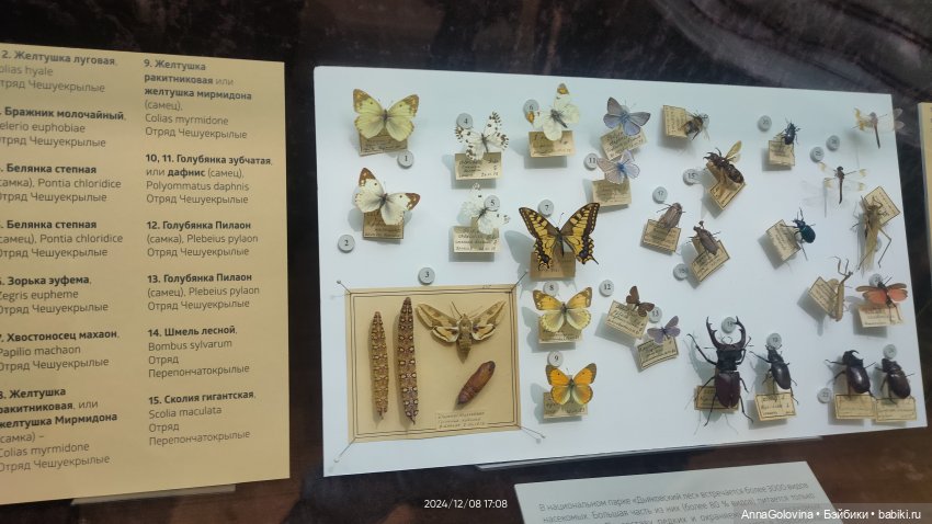 Как мы ходили в музей. Саратов. ЧАСТЬ 5 (фото 8)