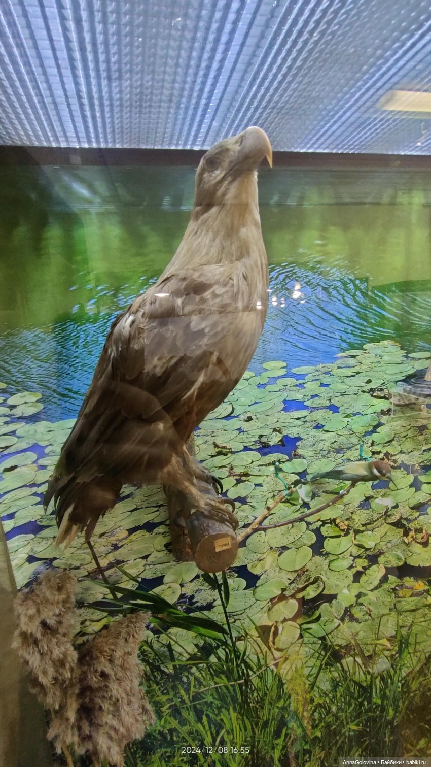 Как мы ходили в музей. Саратов. ЧАСТЬ 5