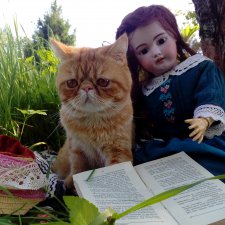 Отдых на даче