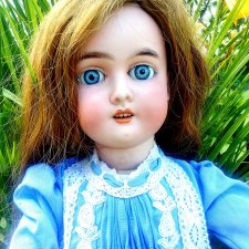 Голубоглазая красавица Kuhnlenz