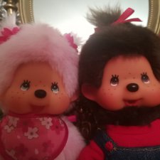 Мои Мончичи