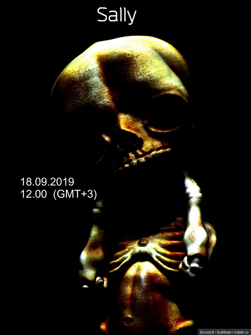 Предзаказ на Салли открыт