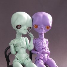 Салли второе поколение