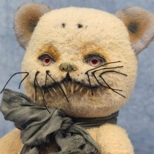 Тедди кот Marqe