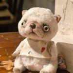 Котик с молоком