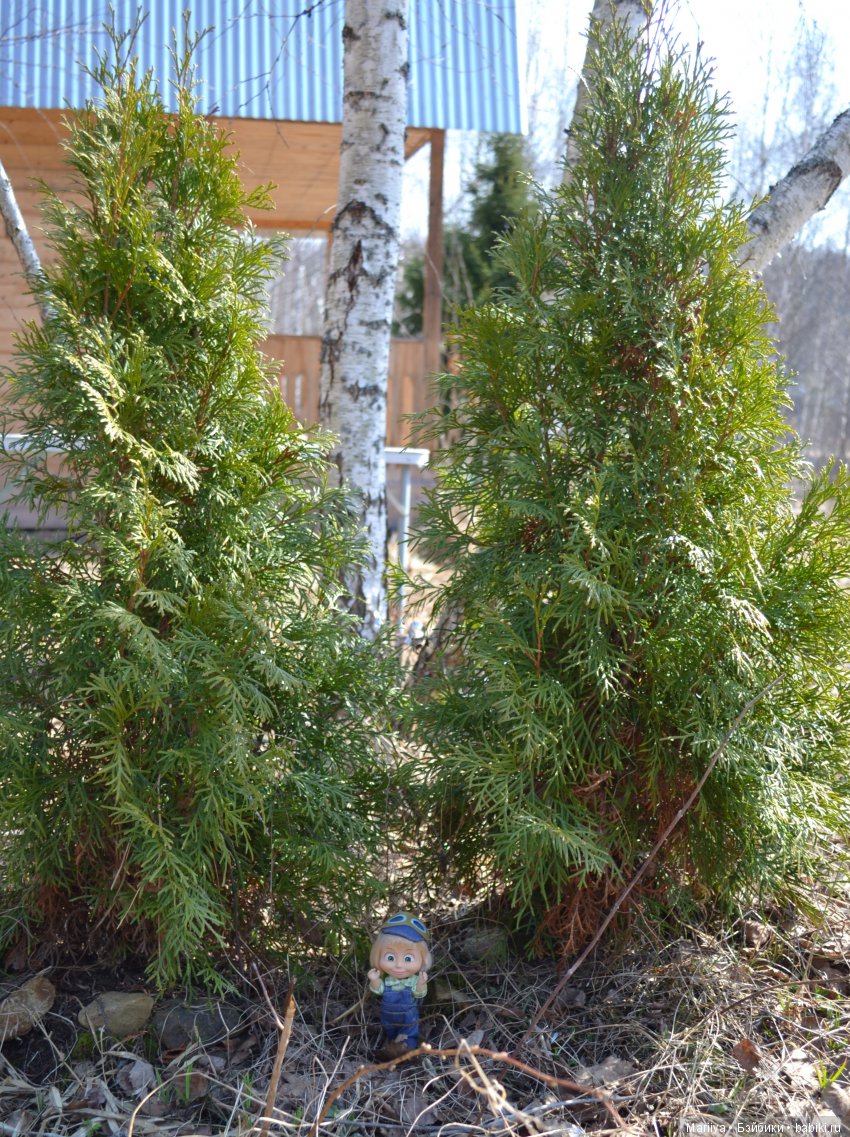 Машка на прогулке — Куклы Маша и Медведь (Simba): Маша в кармашке (фото 7)