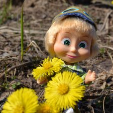 Машка на прогулке