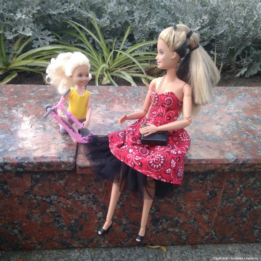 Обзор китайской шарнирной куколки с последующей гибридизацией