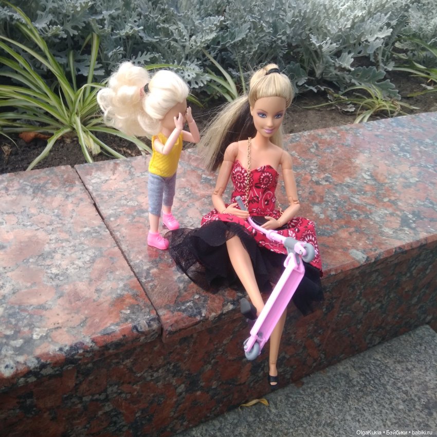 Обзор китайской шарнирной куколки с последующей гибридизацией