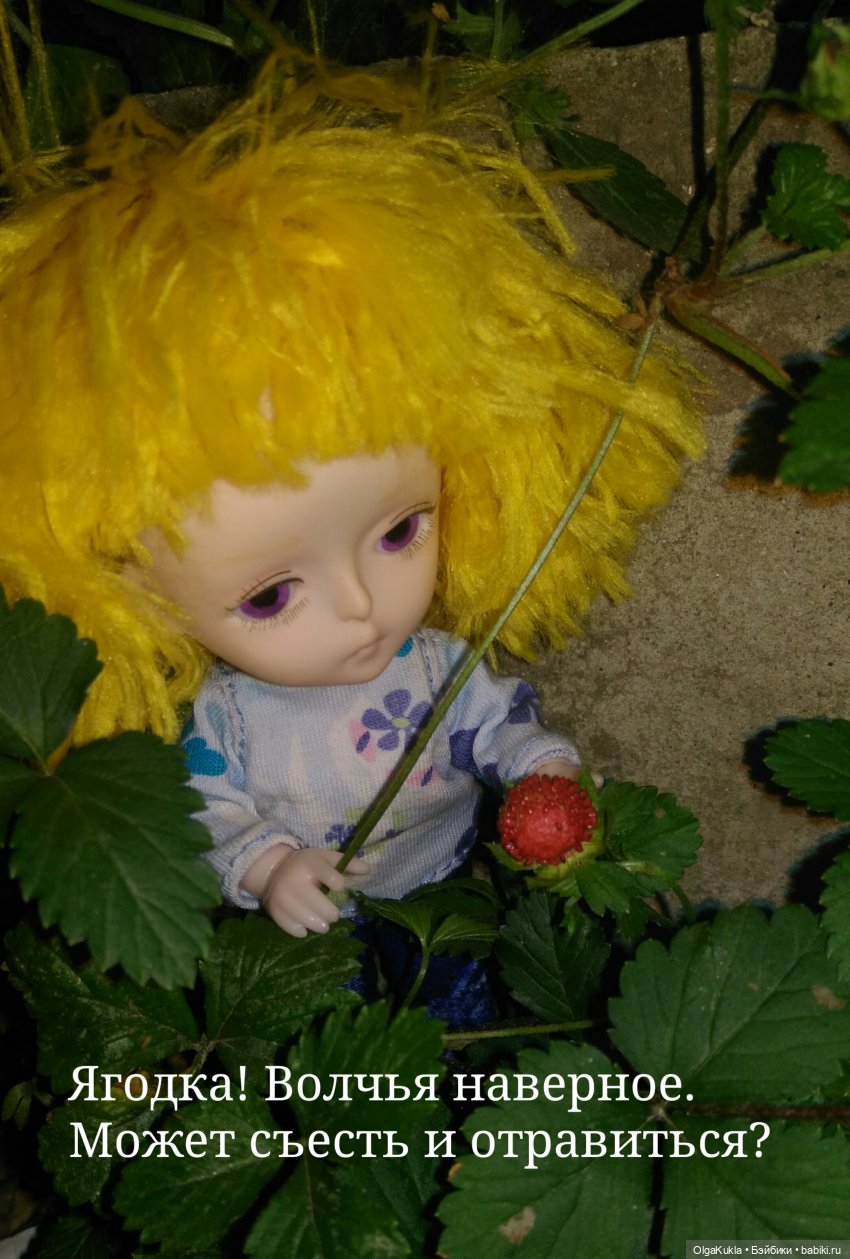 Баболики. Первое свидание (фото 2)