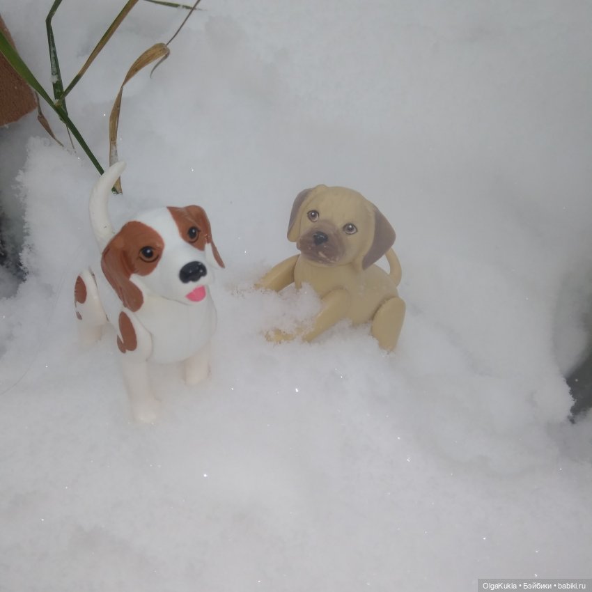 Ружья формата 1.6 — Болталка и разговоры обо всем: жизнь (фото 9)