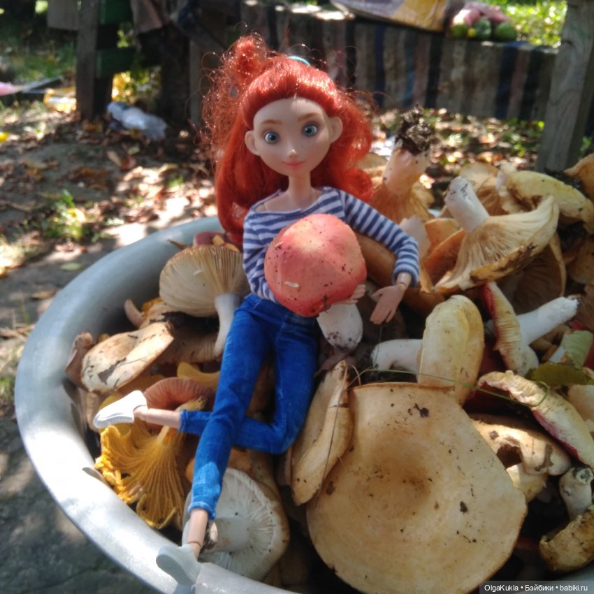 Храбра в деревне — Разные шарнирные куклы (не БЖД): редкие