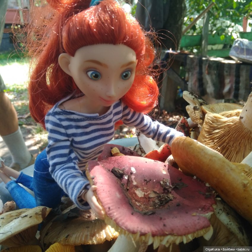 Храбра в деревне — Разные шарнирные куклы (не БЖД): редкие