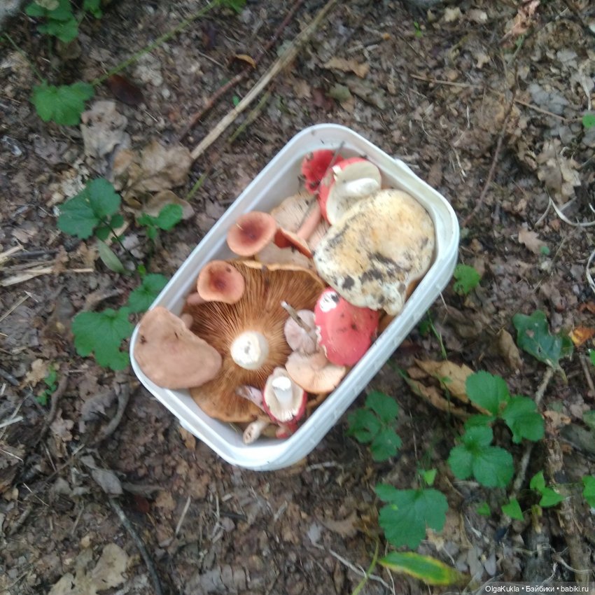 Храбра в деревне — Разные шарнирные куклы (не БЖД): редкие