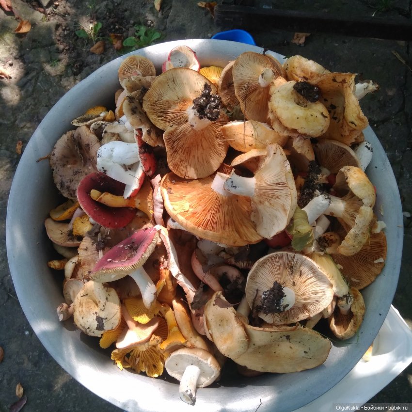 Храбра в деревне — Разные шарнирные куклы (не БЖД): редкие