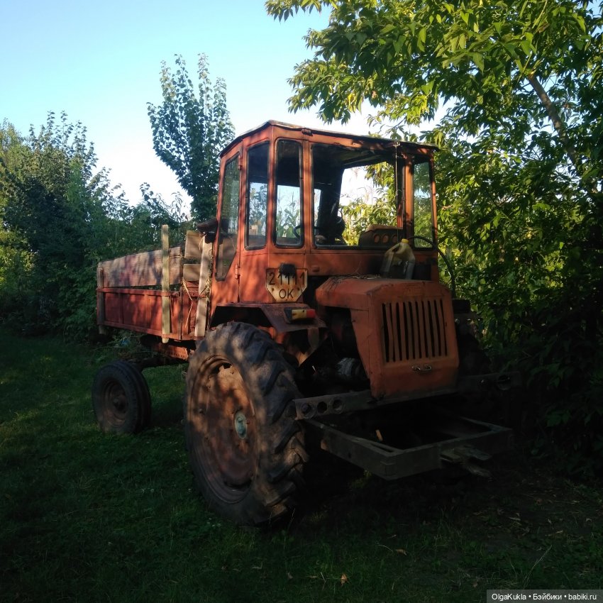 Храбра в деревне — Разные шарнирные куклы (не БЖД): редкие