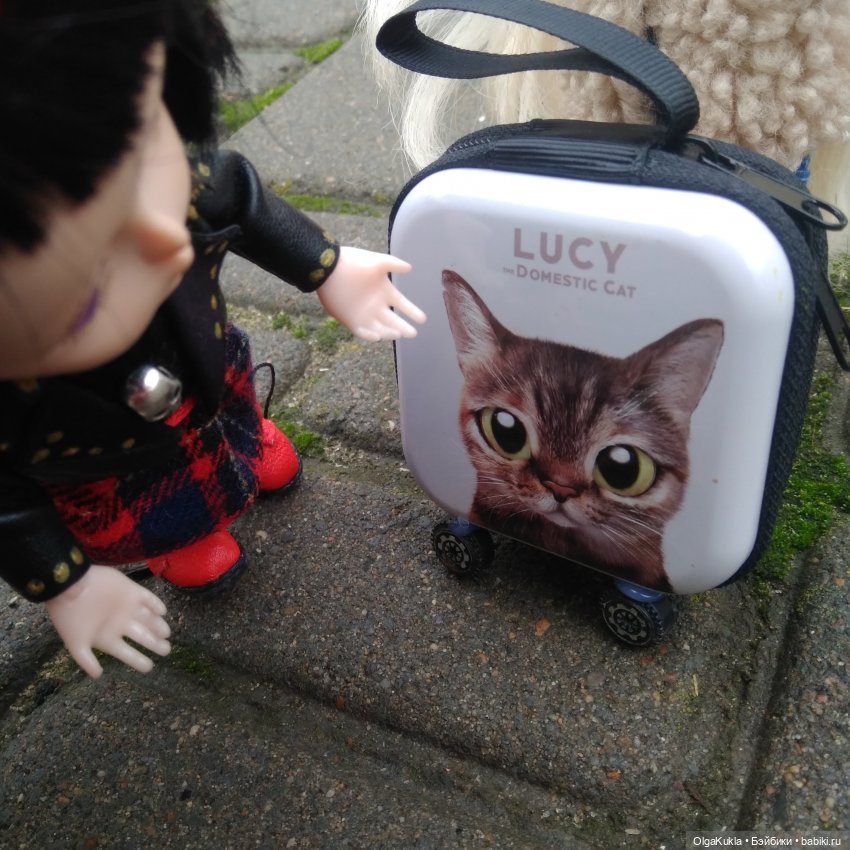 Баболики - домовята. Прибавление (фото 9)