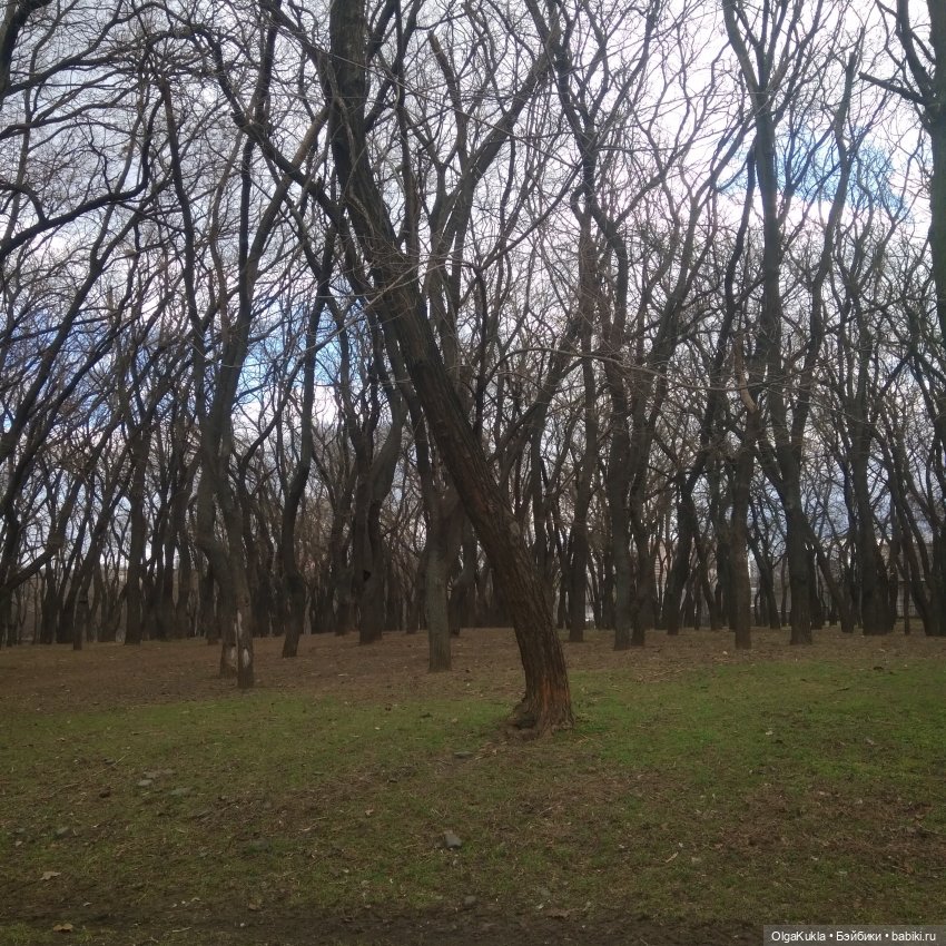 Прогулка Александры — Кукольные фотоистории и сериалы: комиксы (фото 7)