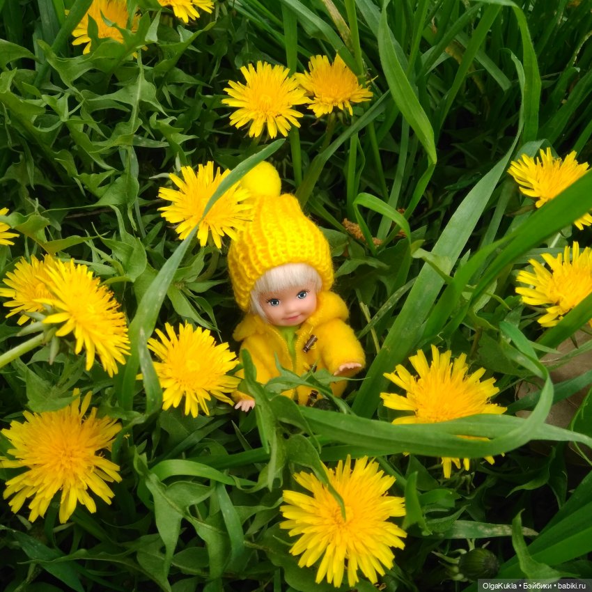 Одуванчиковое настроение — Игровые куклы разных производителей (Разное): редкие бренды
