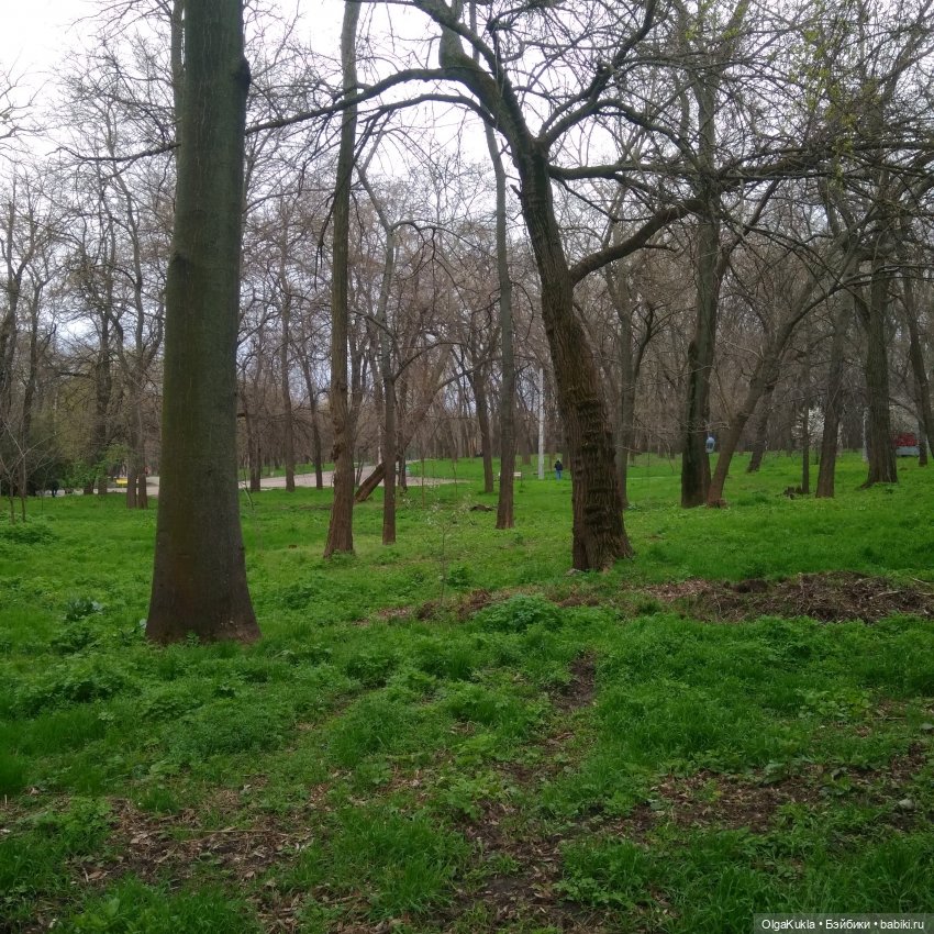 Одуванчиковое настроение — Игровые куклы разных производителей (Разное): редкие бренды (фото 9)