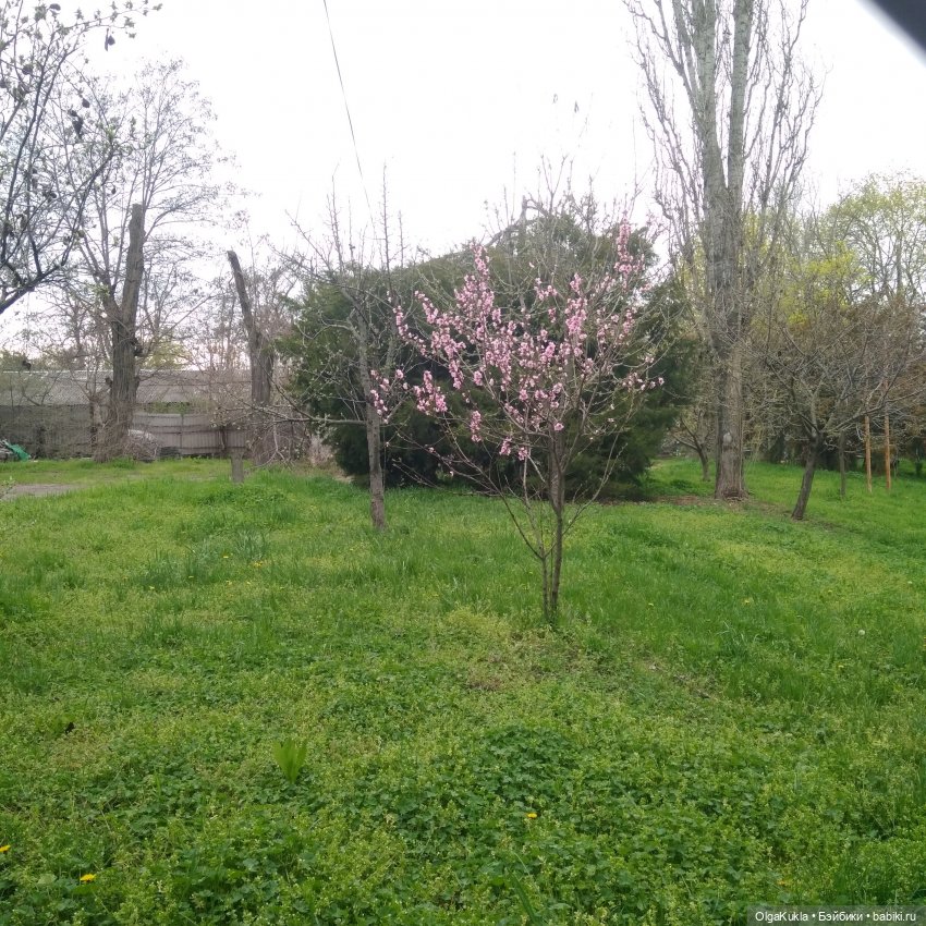 Одуванчиковое настроение — Игровые куклы разных производителей (Разное): редкие бренды (фото 10)