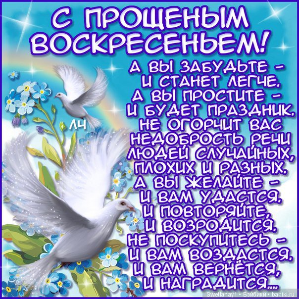 Смс с прощением с открытками, коты