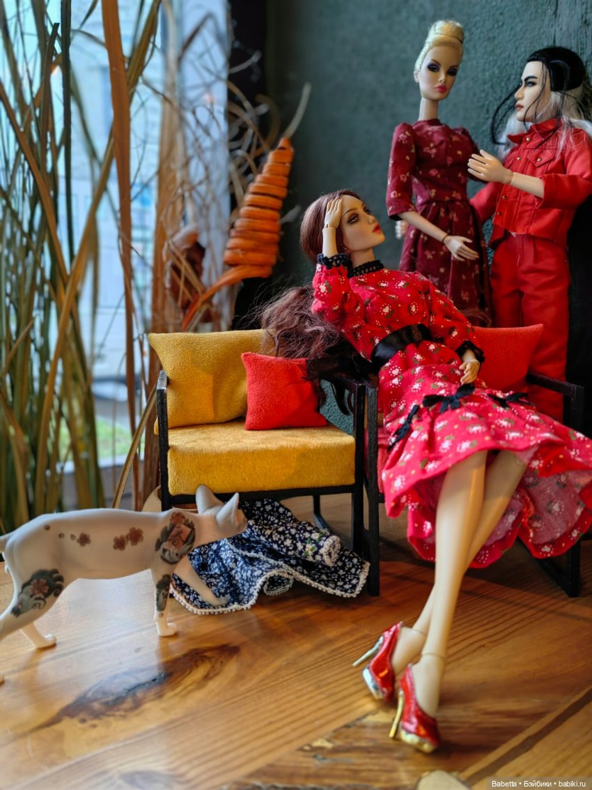 Подготовка к показу или очень обиженный котик