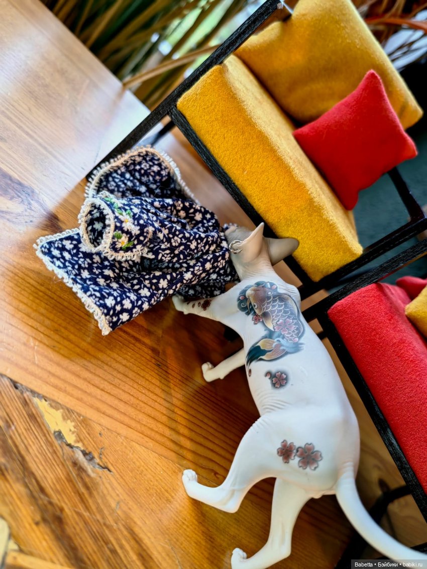 Подготовка к показу или очень обиженный котик