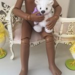 Шарнирное тело для куклы Паола Рейна