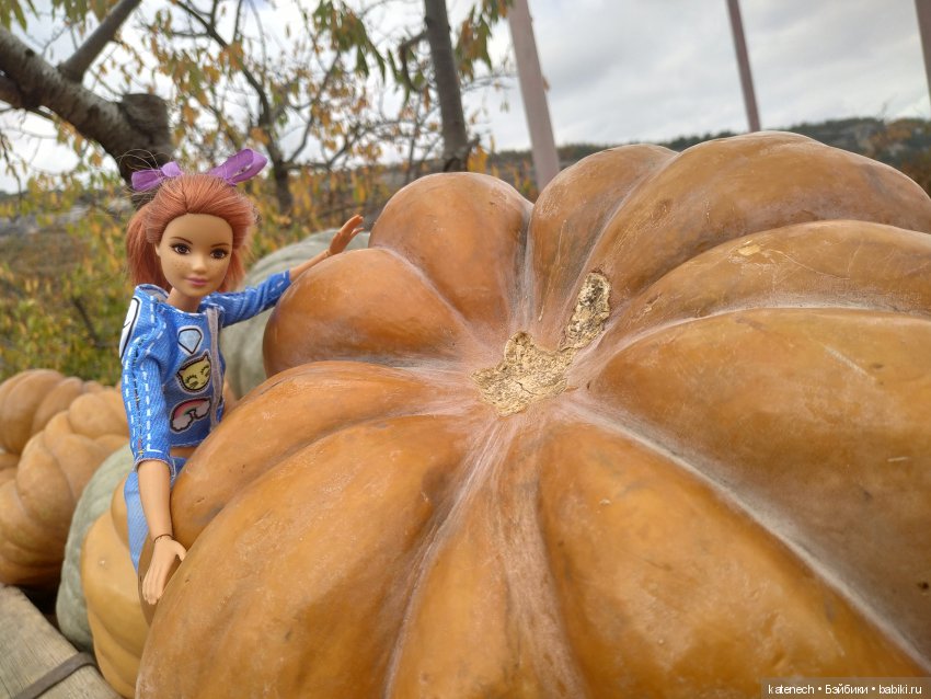 Кукольные моменты 2019 — Коллекционные игрушки и фигурки: Lego (фото 8)