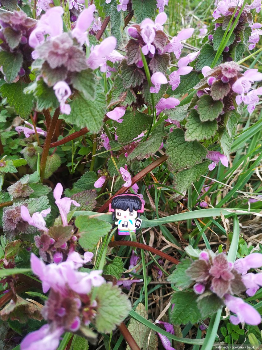 Найди куклу в цветах (просто для поднятия настроения) (фото 2)