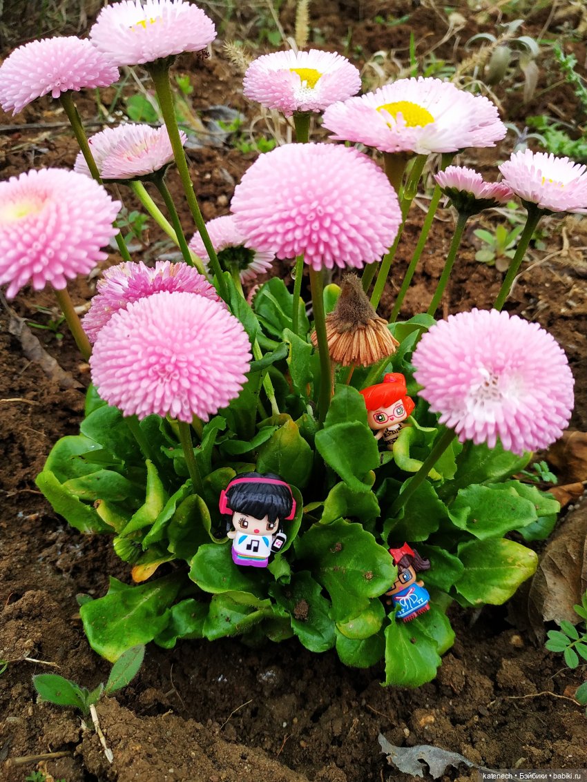 Найди куклу в цветах (просто для поднятия настроения) (фото 4)