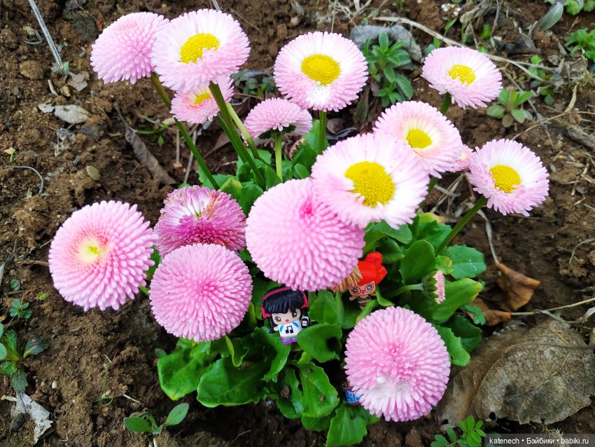 Найди куклу в цветах (просто для поднятия настроения) (фото 5)