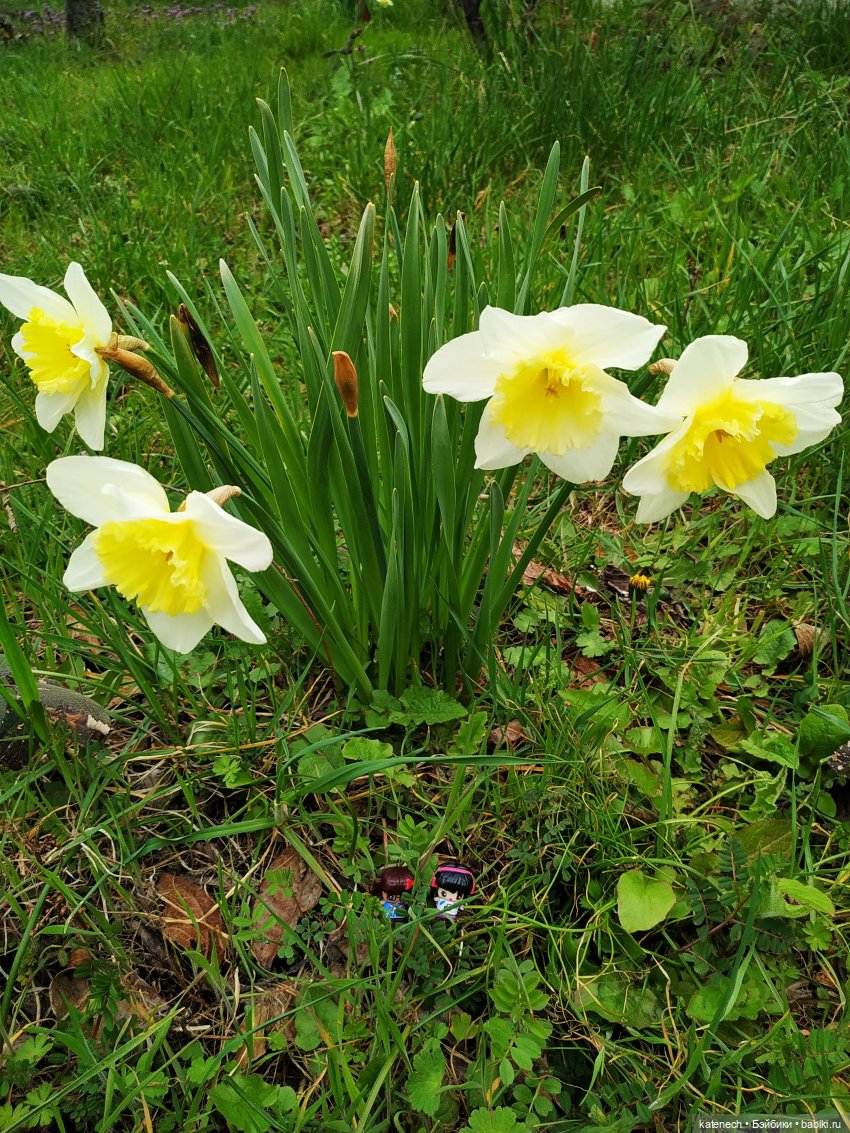 Найди куклу в цветах (просто для поднятия настроения) (фото 6)