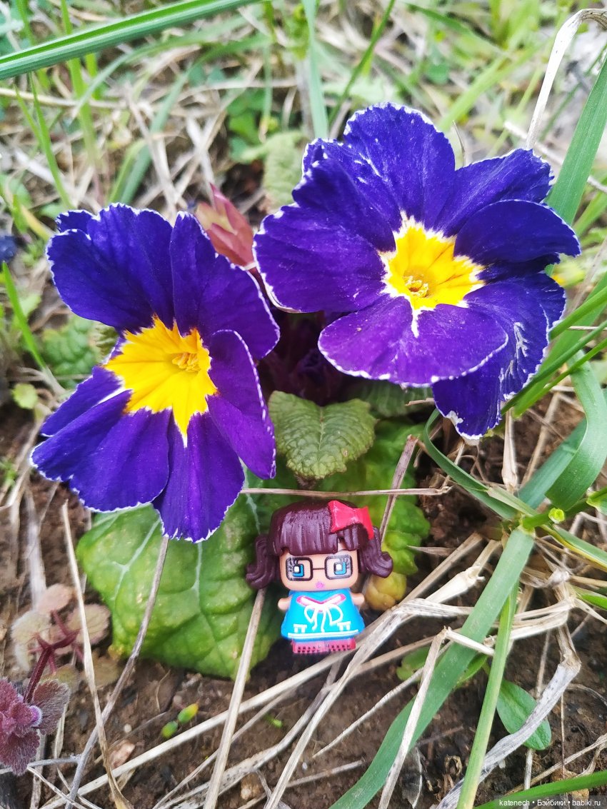 Найди куклу в цветах (просто для поднятия настроения)