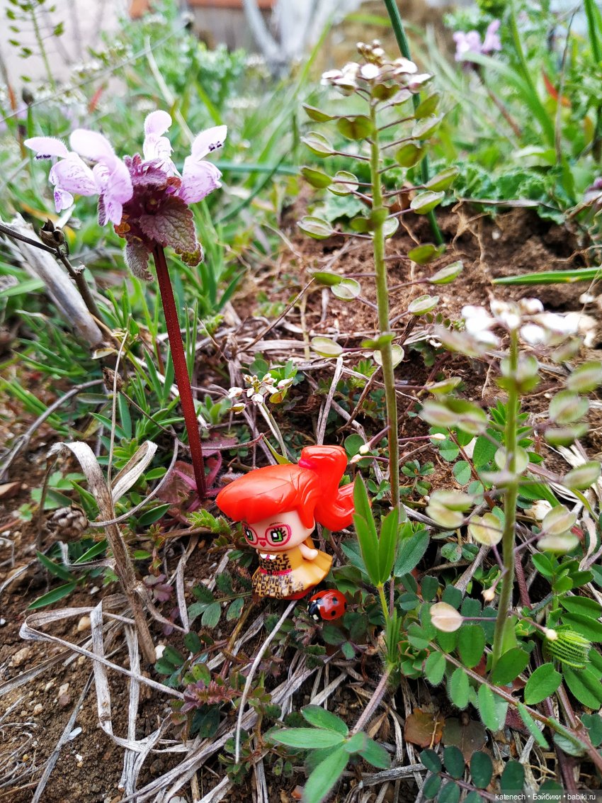 Найди куклу в цветах (просто для поднятия настроения) (фото 7)