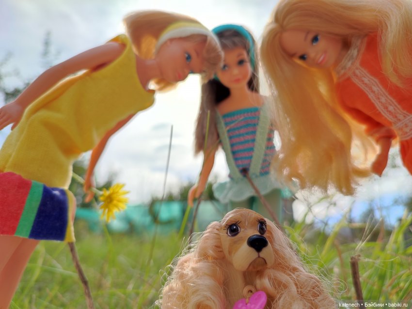 Прогулка со Скиппер — Куклы Mattel (Маттел) разное: Enchantimals