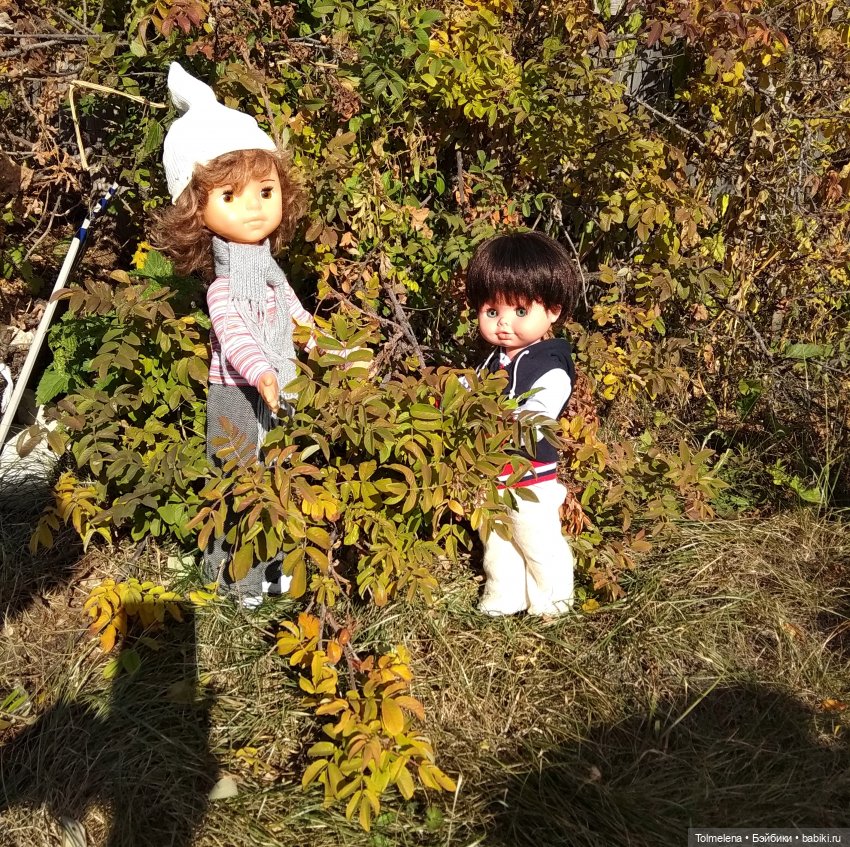 Если бы парни всей Земли... Часть 1. Дача (фото 9)