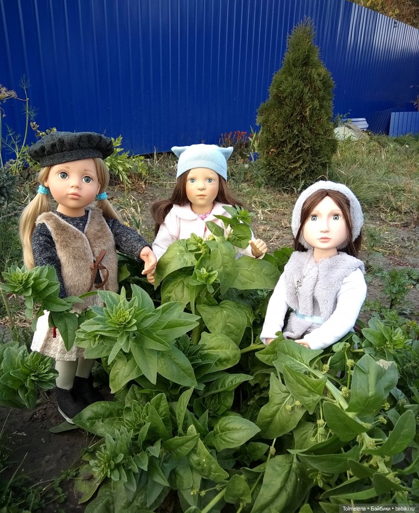 Если бы парни всей Земли... Часть 1. Дача