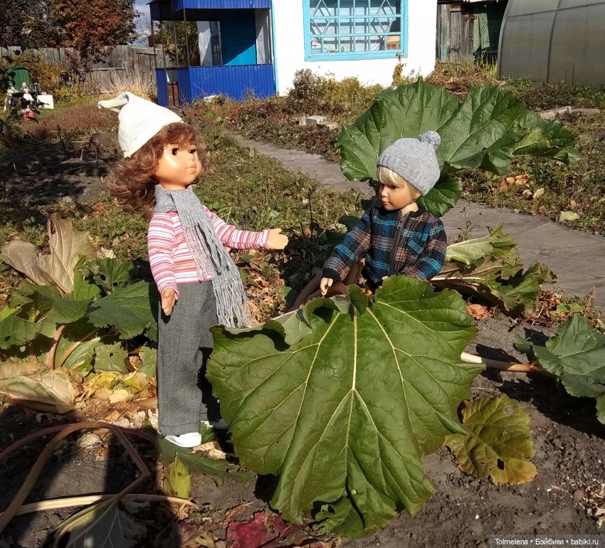 Если бы парни всей Земли... Часть 1. Дача