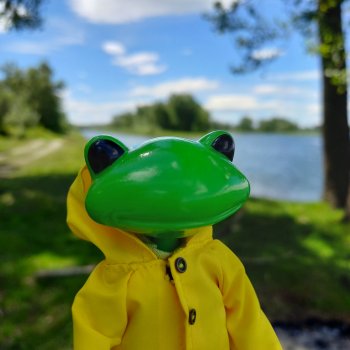 Лягушка, которая любит путешествовать