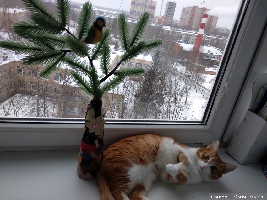 Синица заглянула — Куклы Madame Alexander (Мадам Александер): винтаж