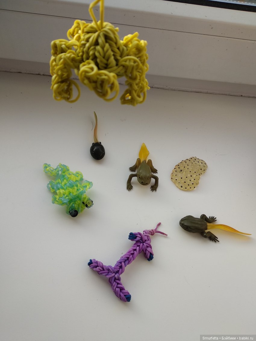 Резиночкомания — Другие хобби и увлечения: сад