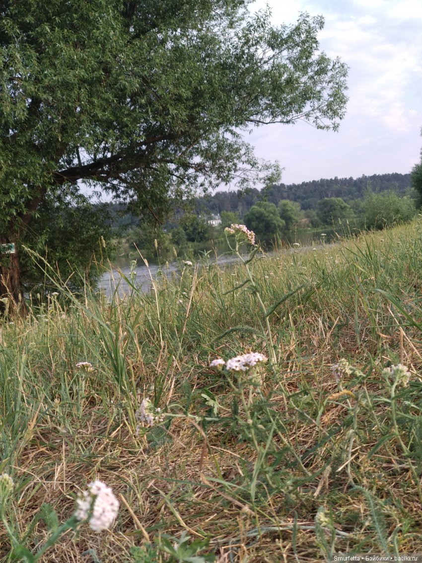 Монстр Хай отдыхают — Куклы Monster High и Ever After High: G1 (фото 9)