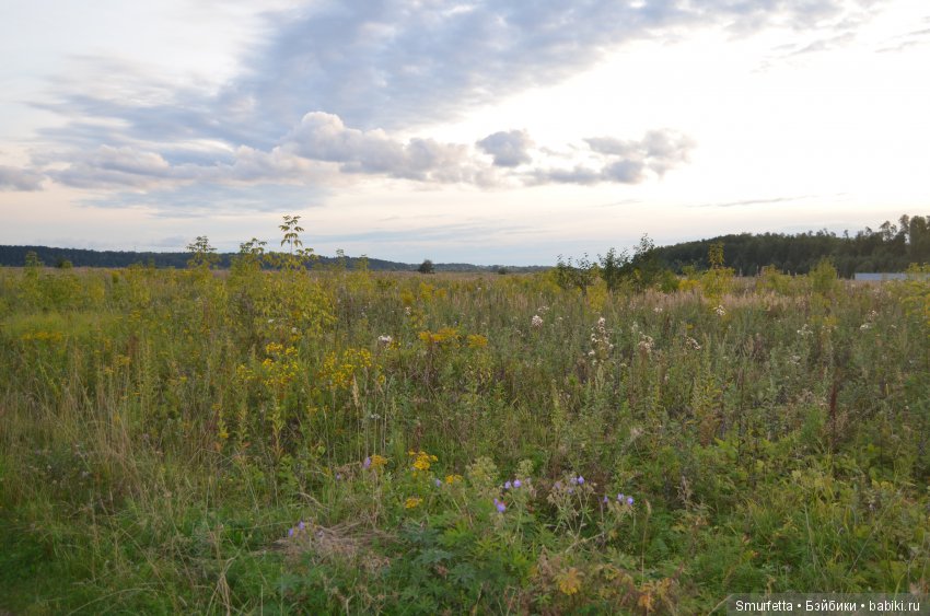Летом любая погода - благодать (фото 9)