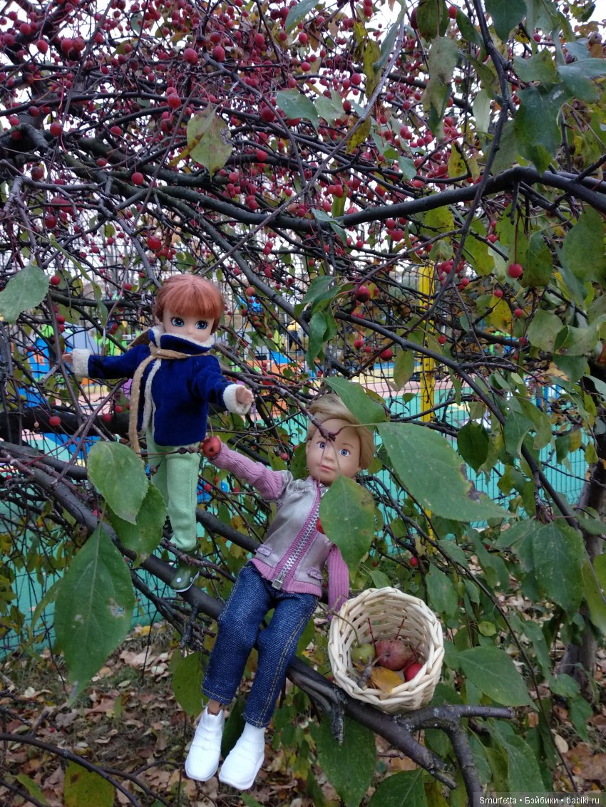Заготовка яблок — Куклы Kathe Kruse (Кате/Кэте Крузе): фото (фото 4)
