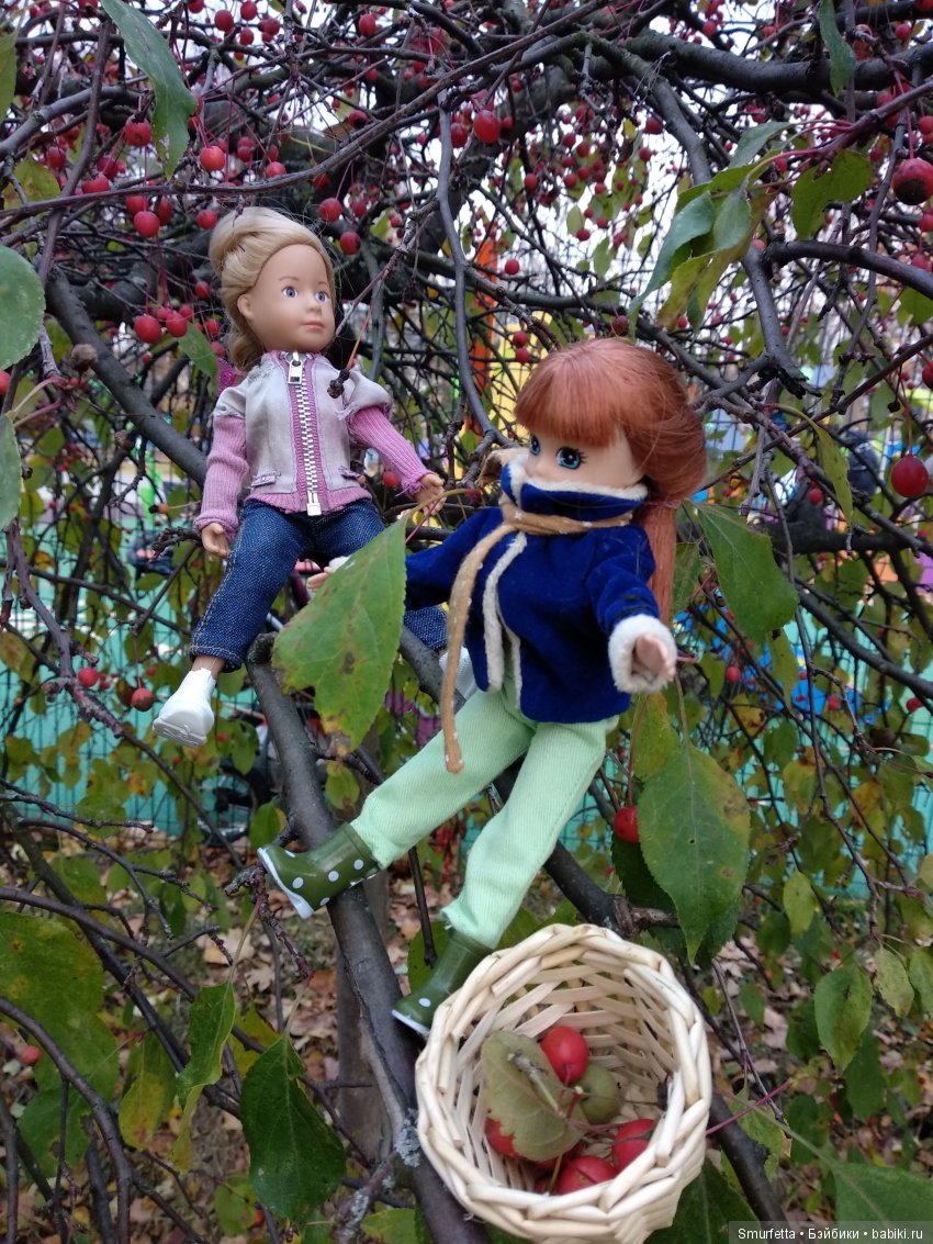 Заготовка яблок — Куклы Kathe Kruse (Кате/Кэте Крузе): фото (фото 2)