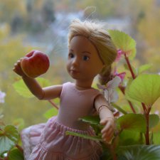 Заготовка яблок