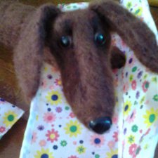 Сделать хотел грозу, а получил козу. Розовую козу с желтою полосой